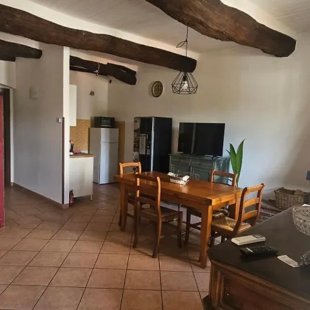 Il Pulcino *